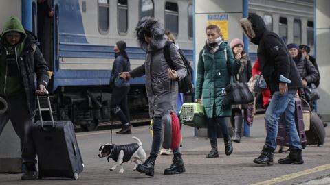 Muchos ucranianos huyen con sus mascotas. No quieren dejarlas atrás