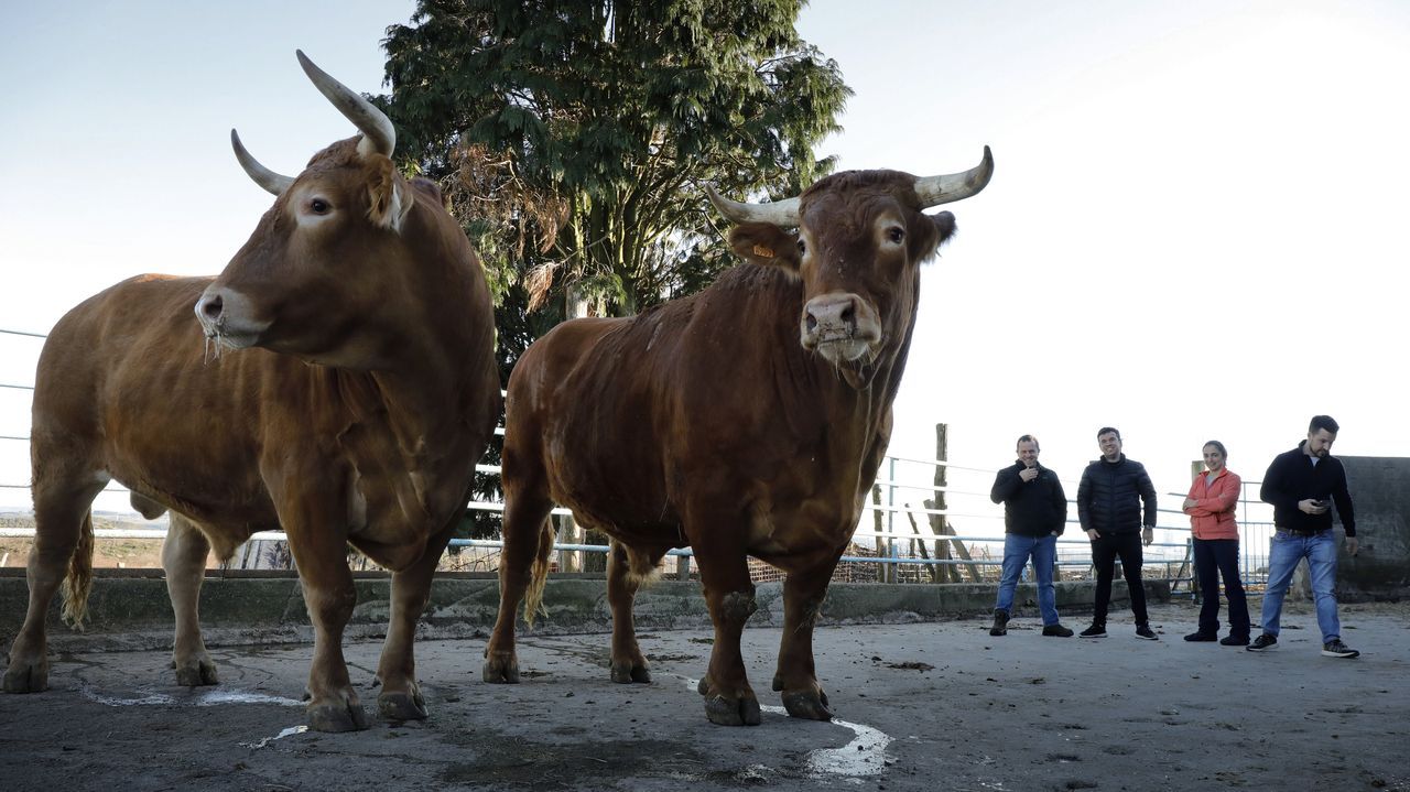 El cuarto premio de la loter�a de Navidad deja 15,7 millones de euros en Illa de Aurosa