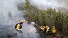 Las brigadas de incendio municipales estn afectadas porque se contratan de manera temporal en verano