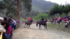 La carrera de caballos se celebr� en el campo de A Feira, en Galdo