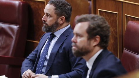 Santiago Abascal e Ivn Espinosa de los Monteros, en la sesin de control del Congreso