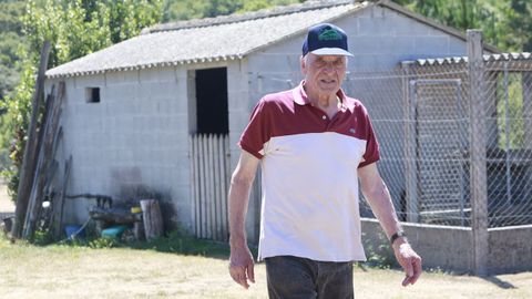 Un mes conviviendo con las velutinas