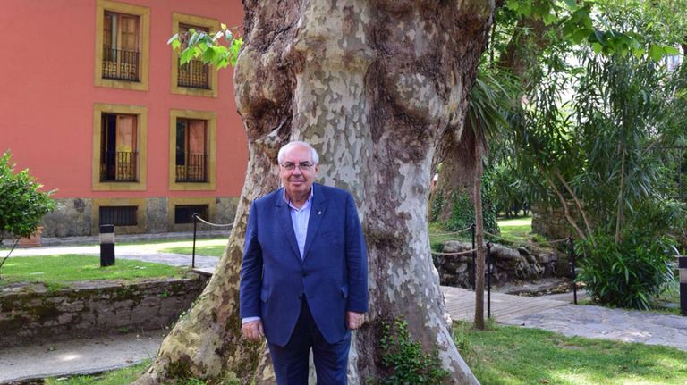 Vicente Álvarez Areces