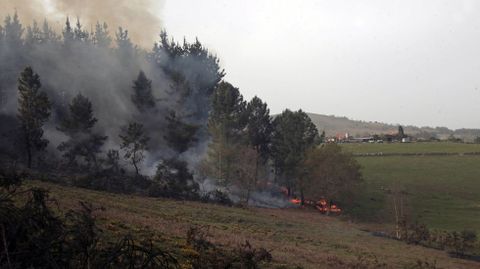 Fuego en un pinar cercano a la aldea de Os Palleiros, en la parroquia monfortina de Marcelle