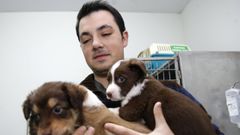 Germn Quintana, en imagen de archivo, lanza un mensaje de calma a los propietarios de mascotas tras la entrada en vigor de la nueva ley de bienestar animal