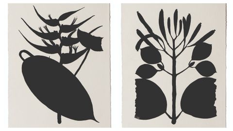 Dos de las piezas de la serie de 42 Leyenda negra, para la que Pilar Milln se inspir en los dibujos botnicos de Mutis.