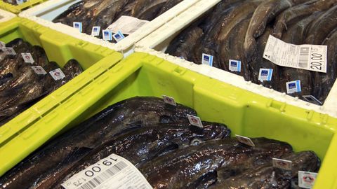 A 6,50 euros el kilo de las merluzas de más de 1.100 gramos y a 3,90 el de las de menos. Así vende este mes Carrefour 200.000 kilos que le compra a la flota de Celeiro