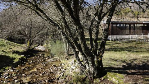 Aldea de O Salgueiro, en Muíños.