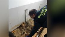El agente ambiental de la UDEX Jos Luis Fernndez Castao, el conductor de motobomba Secundino Trincado, la bombera forestal Loli Fernndez, el jefe de brigada helitransportada Javier Morillo, la jefa de distrito Yolanda Boo y el agente ambiental Luis Iglesias, este mircoles en Larouco.