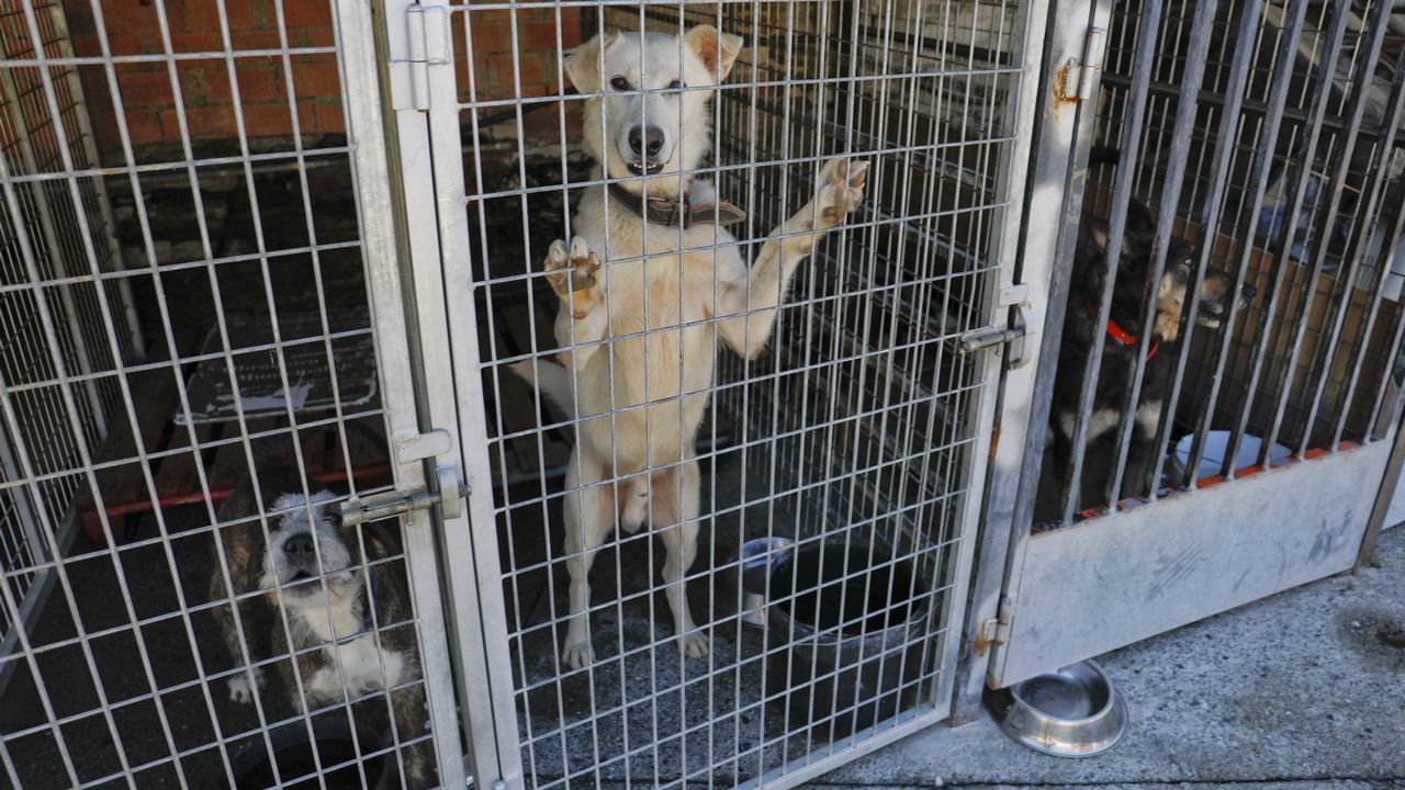Accesos a la Catedral de Santiago