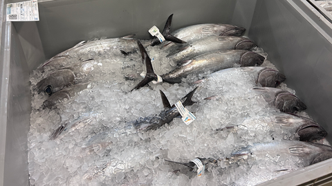 Bonito del norte subastado en la rula de Avil�s