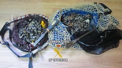 El marisco fue confiscado..