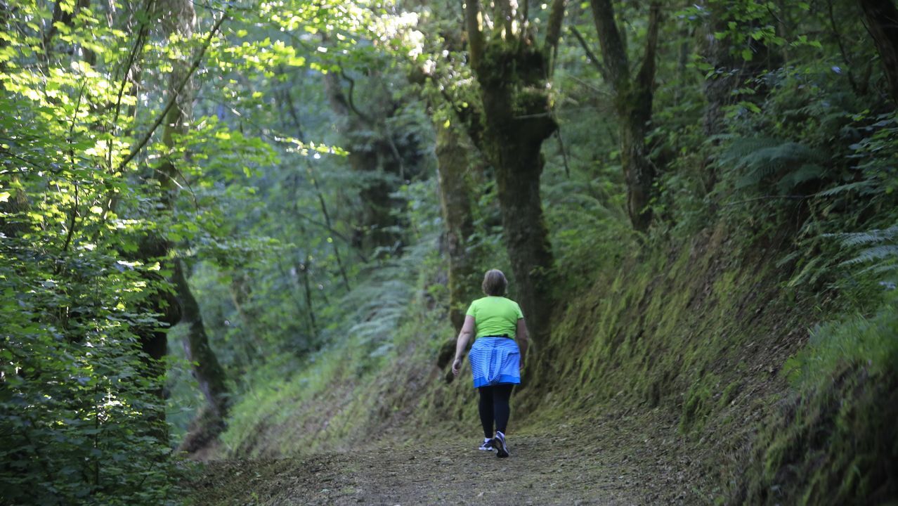 Zona de Sarria en la que presuntamente se produjo un intento de violacin el pasado 2020