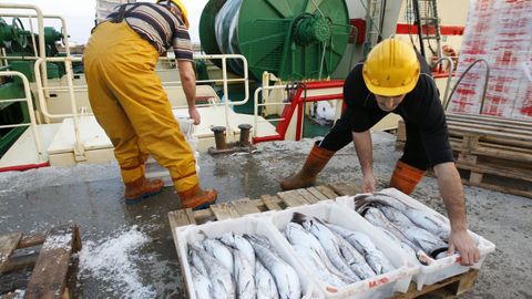 Más de un millón de toneladas de pescados y mariscos dependen cada año en la UE de arrastreros de fondo como este que descarga en un puerto gallego (foto de archivo)