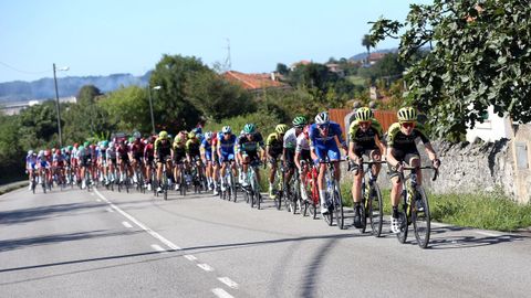 El pelotn ciclista durante la decimocuarta etapa de la 74 Vuelta a Espaa 2019, con salida en la localidad cntabra de San Vicente de la Barquera y meta en Oviedo, con un recorrido de 188 kilmetros