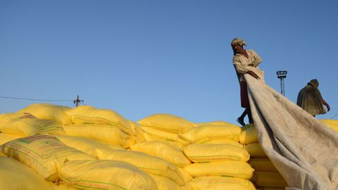 Un trabajador indio cubre con una lona sacos de compost utilizados en granjas de Jalandhar. 