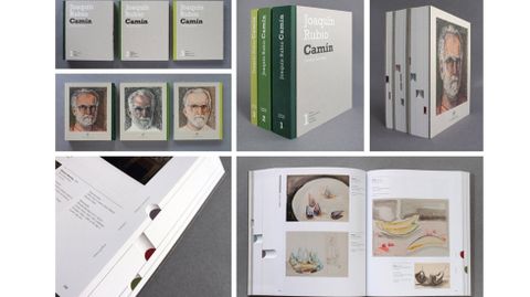 «Catálogo razonado» de Rubio Camín, de Manuel Fernández, premio Anuaria de Oro 2016 en publicaciones editoriales
