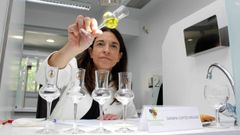 Destilerías gallegas podrían donar más de 100.000 litros de alcohol en solo  24 horas