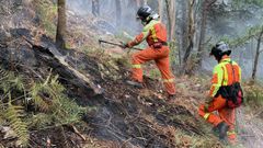 Dos bomberos trabajan en la extincin del incendio forestal. ARCHIVO