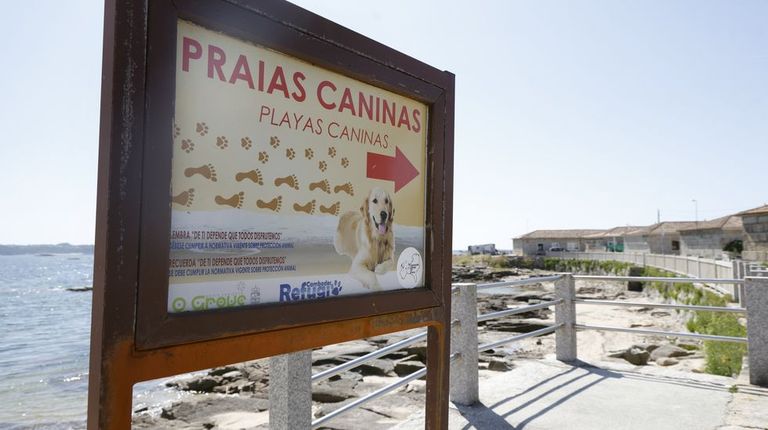 Las playas caninas se consolidan en la oferta turística de las rías de Pontevedra y Arousa