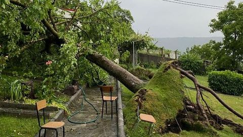 Daños causados por la tormenta en el entorno de un colegio de Maceda.