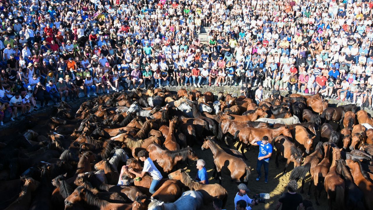 Rapa das Bestas en Sabucedo.Una de las actividades ser iniciacin a piragismo