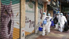 Brigadas en Hong Kong para eliminar hmsteres infectados por covid
