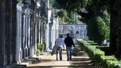 La puesta a punto de los cementerios de Pontevedra para el da de Todos los Santos se inici hace das