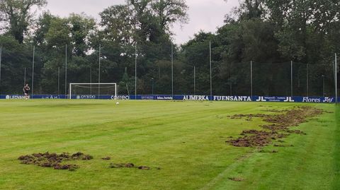 Campo n�1 de El Requex�n, afectado por la entrada de los jabal�es