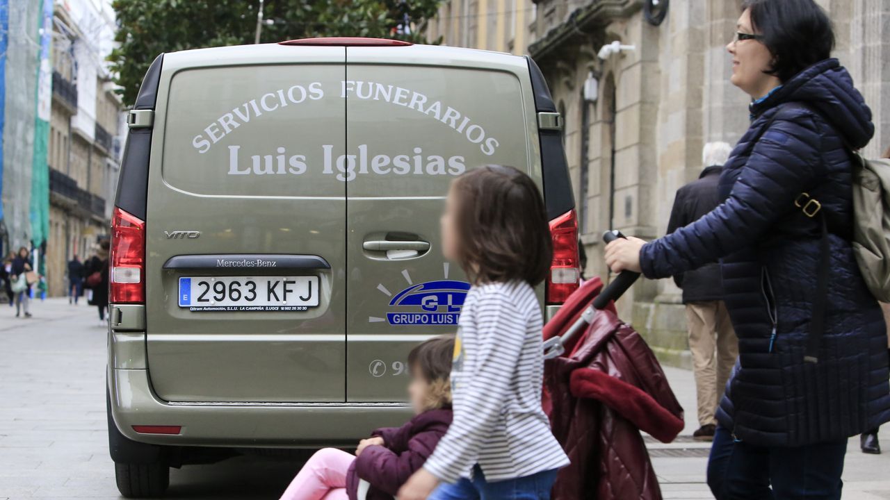 Una pareja de cigeas junto a una charca formada por los recientes temporales en Monforte