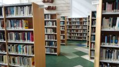 Biblioteca de Avils