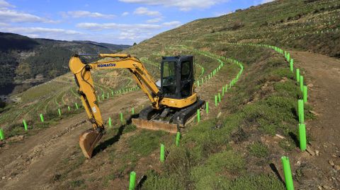 Plantación del empresario Lorenzo López entre Vilar de Ortelle y Atán