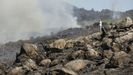 Veinte grandes incendios forestales han quemado este verano más de 45.000 hectáreas de suelo gallego.