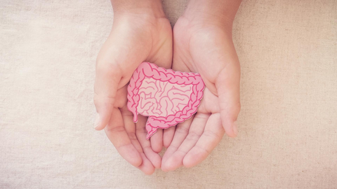 Los probióticos pueden ayudar a mejorar el estado de la microbiota intestinal.