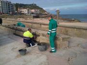 Los operarios reparan el muro