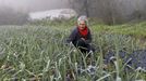 Na sa plantacin de Vedra, a onde voltou Lidia Senra tras deixar a poltica 