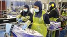 Trabajadoras en las líneas de producción de Iberconsa, en Vigo. La merluza y el gambón son los puntos fuertes de la compañía.