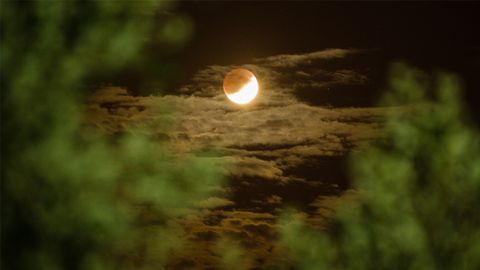 La luna se eleva, entre las nubes, sobre un parque de Ourense