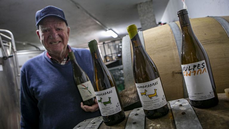 Tres oros y una plata de la Guía Paadín para vinos de la bod