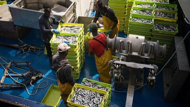 Los cerqueros reclaman un adelanto de cuota para seguir pescando anchoa al sur de Fisterra