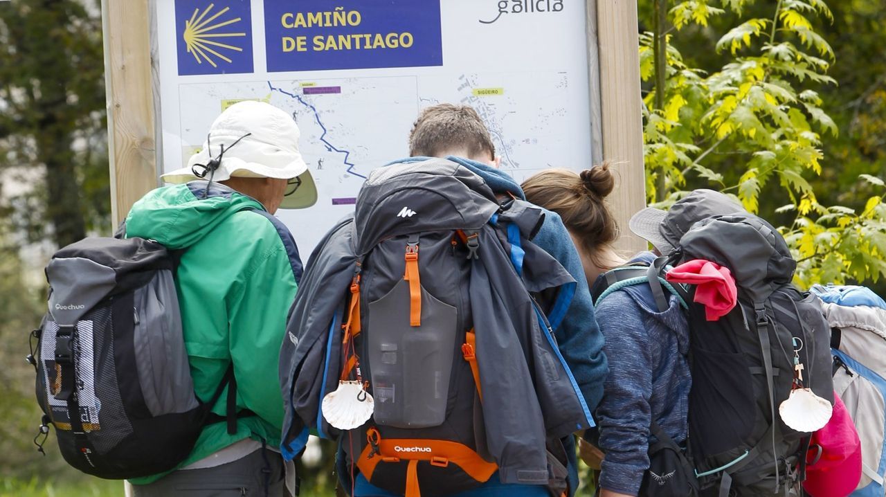 Bscate en la Festa do Porco Celta en Sarria.Vendimia en la via de Camio Novo, de la que sale el vino destcado por la Gua Pen