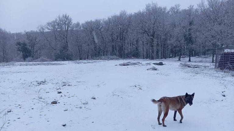 La nieve ya cubre Xesta, en A Lama, y las temperaturas bajan este viernes a mínimas de 5,4 grados en Pontevedra
