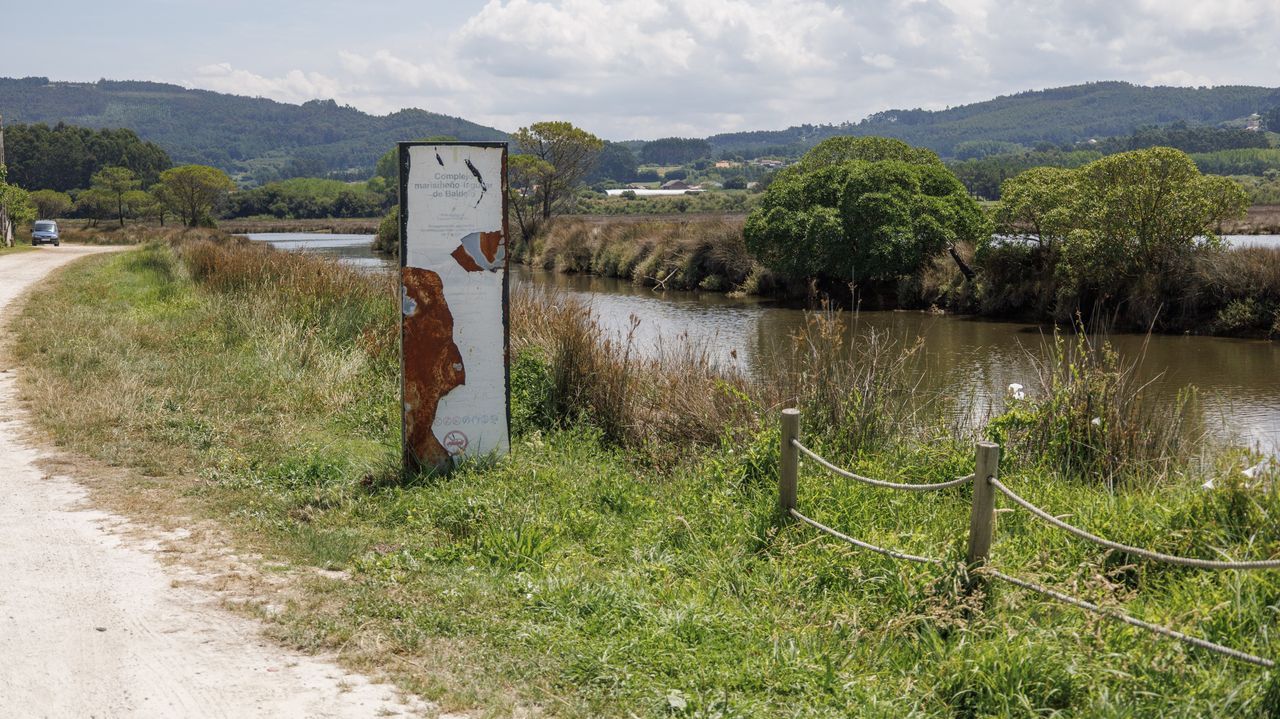 La experiencia de los turistas en la pasarela vicedense.El informe destaca tambi�n la importancia natural de la marisma de Baldaio