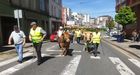 Las vacas se incorporan a la manifestacin de Lugo, donde los ganaderos piden que se suba el precio de la carne