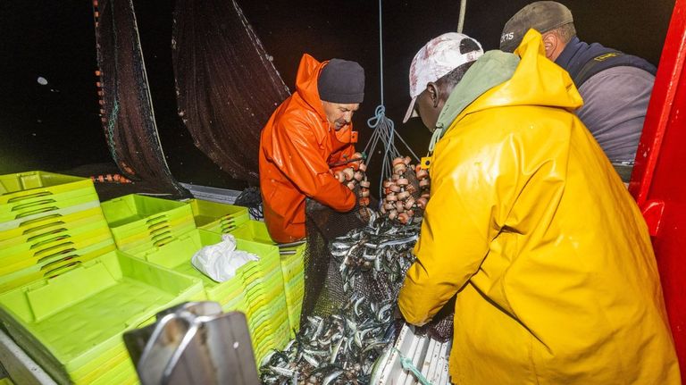 La pesca urge una política europea que frene el «insostenible declive» de la flota