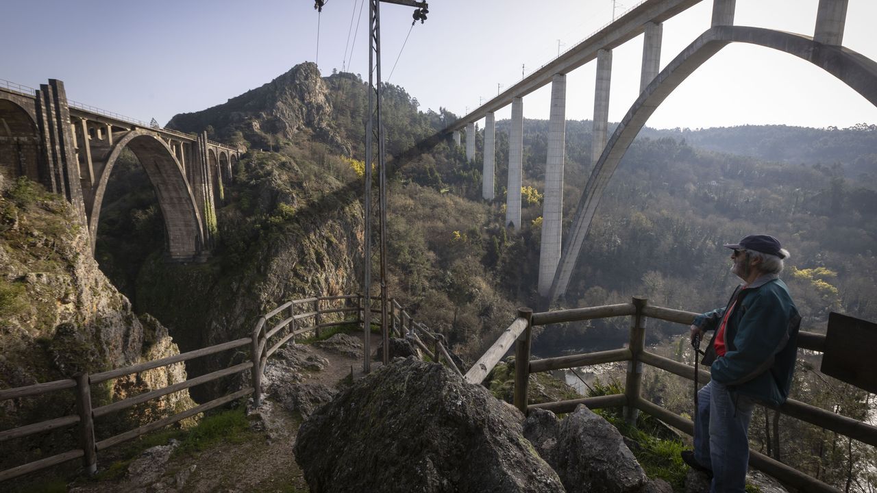 De bodegas y viedos por Monterrei.Un trabajador del museo seala desde un antiguo vagn uno de los nidos de pjaro carpintero que hay en los rboles del recinto musestico y que fueron puestos al descubierto en una reciente poda 