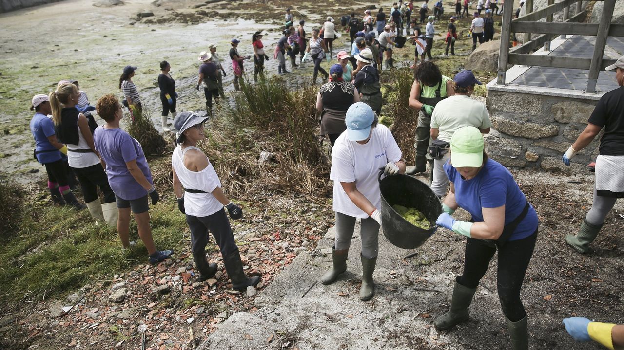 Un paseo por el sorprendente Gijn que bulle bajo el Cantbrico.Las mariscadoras de A Illa forman cadenas humanas para retirar las algas de las playas