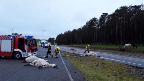 Imagen del accidente ocurrido este lunes a primera hora en el alto da Gañidoira