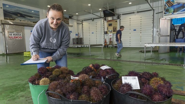 Las lonjas de Malpica y Laxe pierden 300.000 euros por los constantes fallos en internet y telefonía