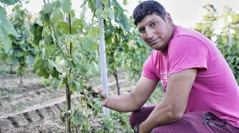  Fernando Cibeira, mostrando los destrozos en su via